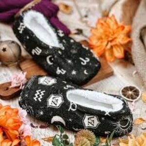 Zodiac Academy Slipper Socks Bookish Box